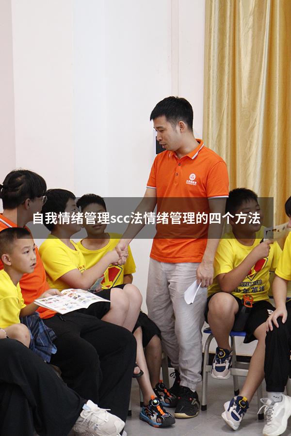自我情绪管理 scc法（情绪管理的四个方法）